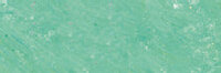 Asgroen Extra soft pastels / Pastel &agrave; l'ecu Sennelier Kleur 349