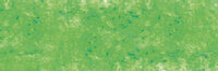 Barietgroen No2 Extra soft pastels / Pastel &agrave; l'ecu Sennelier Kleur 761