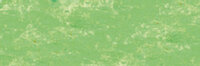 Barietgroen No3 Extra soft pastels / Pastel &agrave; l'ecu Sennelier Kleur 762