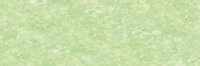Barietgroen No4 Extra soft pastels / Pastel &agrave; l'ecu Sennelier Kleur 763