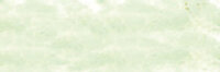 Barietgroen No6 Extra soft pastels / Pastel &agrave; l'ecu Sennelier Kleur 765