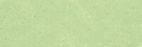 Celadon Extra soft pastels / Pastel &agrave; l'ecu Sennelier Kleur 955