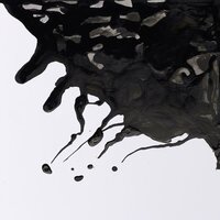 Black Indian Ink Drawing Ink van Winsor &amp; Newton 30 ML (pipet) Kleur 030