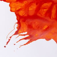 Orange Drawing Ink van Winsor &amp; Newton 14 ML Kleur 449