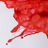 Scarlet Drawing Ink van Winsor &amp; Newton 14 ML Kleur 601