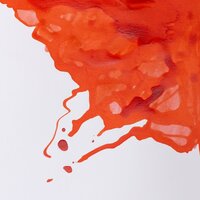 Vermillion Drawing Ink van Winsor &amp; Newton 14 ML Kleur 680