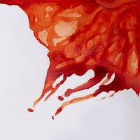 Burnt Sienna Drawing Ink van Winsor &amp; Newton 14 ML Kleur 074