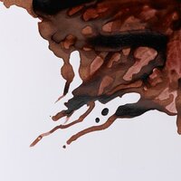 Nut Brown Drawing Ink van Winsor &amp; Newton 14 ML Kleur 441