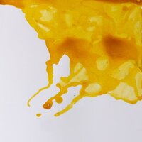 Canary Yellow Drawing Ink van Winsor &amp; Newton 14 ML Kleur 123