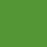 Forest Green Winsor &amp; Newton Promarker Brush Kleur G356