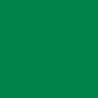 Lush Green Winsor &amp; Newton Promarker Brush Kleur G756