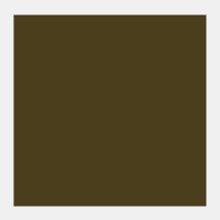 Omber naturel Rembrandt Olieverf Royal Talens 15 ML (Serie 1) Kleur 408