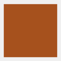 Stil de grain bruin Rembrandt Olieverf Royal Talens 15 ML (Serie 3) Kleur 418