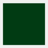 Groene aarde Rembrandt Olieverf Royal Talens 15 ML (Serie 1) Kleur 629
