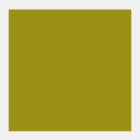 Olijfgroen Rembrand Olieverf Royal Talens 150 ML (Serie 2) Kleur 620