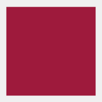 Permanent kraplak Middel Rembrandt Olieverf Royal Talens 40 ML (Serie 3) Kleur 395