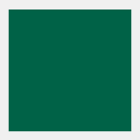 Vert Emeraude Rembrandt Olieverf Royal Talens 40 ML (Serie 3) Kleur 616