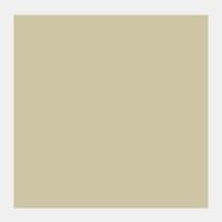 Zilver Rembrandt Olieverf Royal Talens 40 ML (Serie 3) Kleur 800
