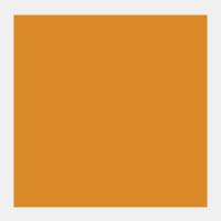 Donkergoud Rembrandt Olieverf Royal Talens 40 ML (Serie 3) Kleur 803