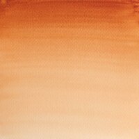 Burnt Sienna (S1) Professioneel Aquarelverf van Winsor &amp; Newton 5 ml Kleur 074