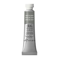 Davy's Gray (S1) Professioneel Aquarelverf van Winsor &amp; Newton 5 ml Kleur 217