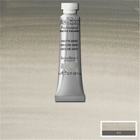 Davy's Gray (S1) Professioneel Aquarelverf van Winsor &amp; Newton 5 ml Kleur 217