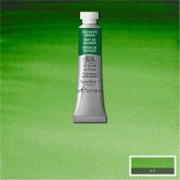 Hookers Green (S1) Professioneel Aquarelverf van Winsor &amp; Newton 5 ml Kleur 311