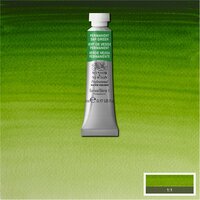 Permanent Sap Green (S1) Professioneel Aquarelverf van Winsor &amp; Newton 5 ml Kleur 503