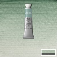 Terre Verte (S1) Professioneel Aquarelverf van Winsor &amp; Newton 5 ml Kleur 637