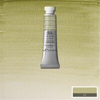 Terre Verte (Yellow shade) (S1) Professioneel Aquarelverf van Winsor &amp; Newton 5 ml Kleur 638