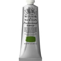 Chromium Oxide Green Professional Acrylic Winsor &amp; Newton 60 ml Kleur 162