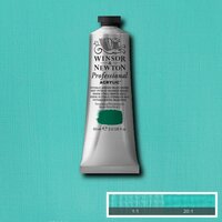 Phthalo Green [Blue Shade] Professional Acrylic Winsor &amp; Newton 60 ml Kleur 522