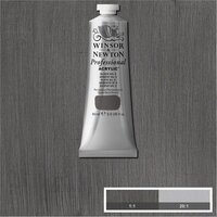 Silver No 2 Professional Acrylic Winsor &amp; Newton 60 ml Kleur 624