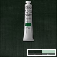 Hooker's Green Professional Acrylic Winsor &amp; Newton 200 ml Kleur 311