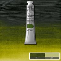 Permanent Sap Green Professional Acrylic Winsor &amp; Newton 200 ml Kleur 503
