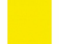 Cadmiumgeel Licht Rembrandt Acrylverf Talens Rembrandt Acrylverf Talens 40 ML Kleur 208