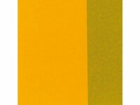 Azogeel Donker Rembrandt Acrylverf Talens 40 ML Kleur 270