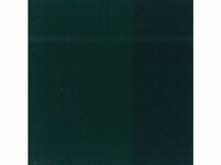Permanentgroen Donker Rembrandt Acrylverf Talens 40 ML Kleur 619