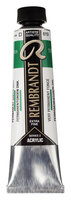 Permanentgroen Donker Rembrandt Acrylverf Talens 40 ML Kleur 619
