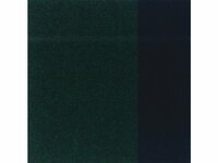 Sapgroen Rembrandt Acrylverf Talens 40 ML Kleur 623