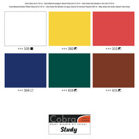 Starterset Klein Cobra Study Watermengbare Olieverf 6 x 20 ML