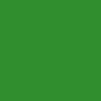 Bladgroen Dekkend / Opaque Art Creation Glas &amp; Porseleinverf 30 ML Kleur 6032