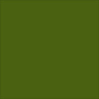 Mosgroen Art Creation Binnen &amp; Buiten acrylverf 250 ML Kleur 6018