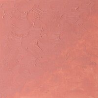 Flesh Tint Winton Olieverf van Winsor &amp; Newton 200 ML Kleur 257