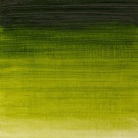 Sap Green Winton Olieverf van Winsor &amp; Newton 200 ML Kleur 599