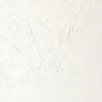 Zinc White Winton Olieverf van Winsor &amp; Newton 200 ML Kleur 748