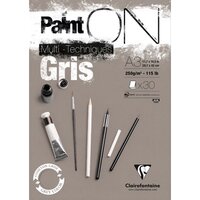A3 Paint'ON Gris / Grijs 30 vellen 250 grams van Clairefonaine