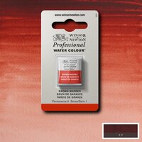 Brown Madder Serie 1 Professional Watercolour Half Napje van Winsor &amp; Newton Kleur 056