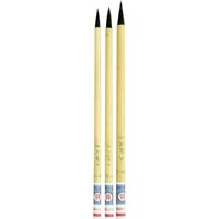5 Chinese kunstenaarpenselen set
