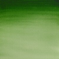 Hookers Green Light Cotman Water Colour / Aquarelverf van Winsor &amp; Newton 21 ML Kleur 314